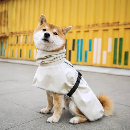 Chien portant un imperméable confort pour chien beige avec sangle noire en extérieur urbain