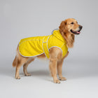 Chien Golden Retriever portant un imperméable pour chien ajustable jaune avec capuche