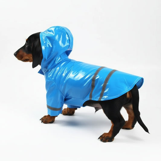 Imperméable pour chien avec capuche en bleu, parfait pour les jours de pluie