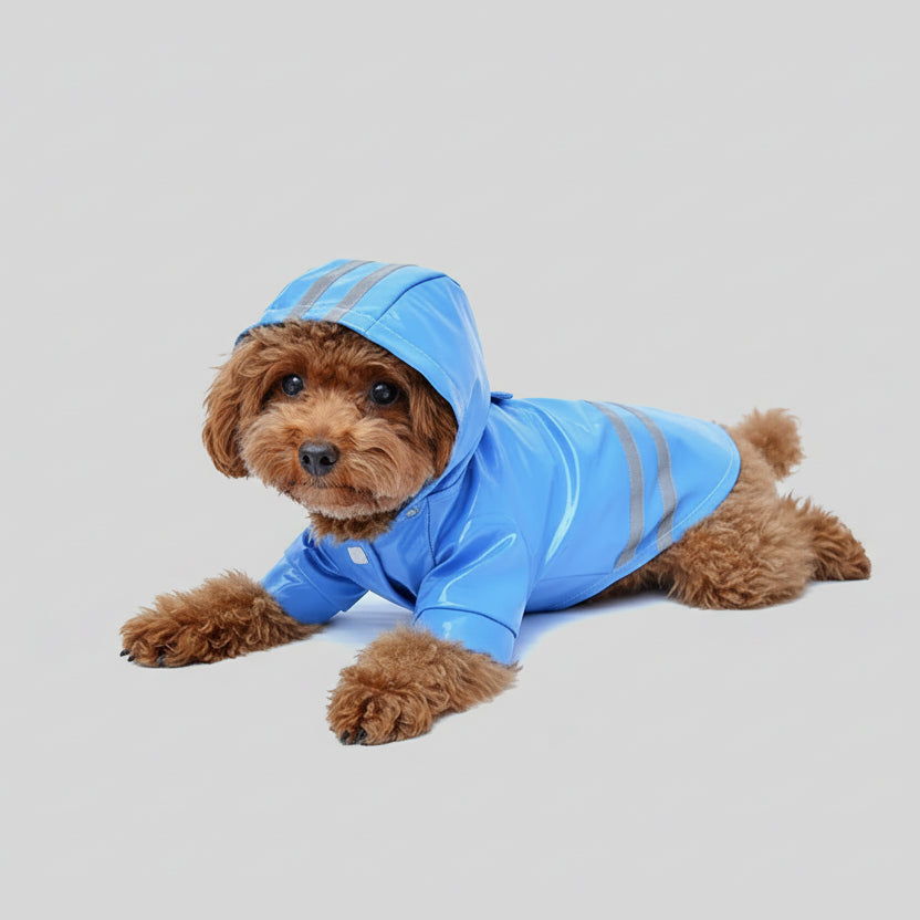Imperméable pour chien avec capuche de couleur bleue et bandes réfléchissantes, idéal pour les jours de pluie