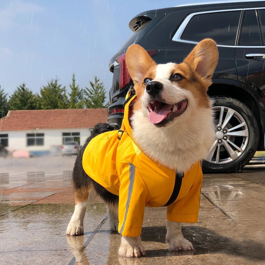 Imperméable pour chien avec capuche et anneau de laisse Oscar et Plume Beige / XS