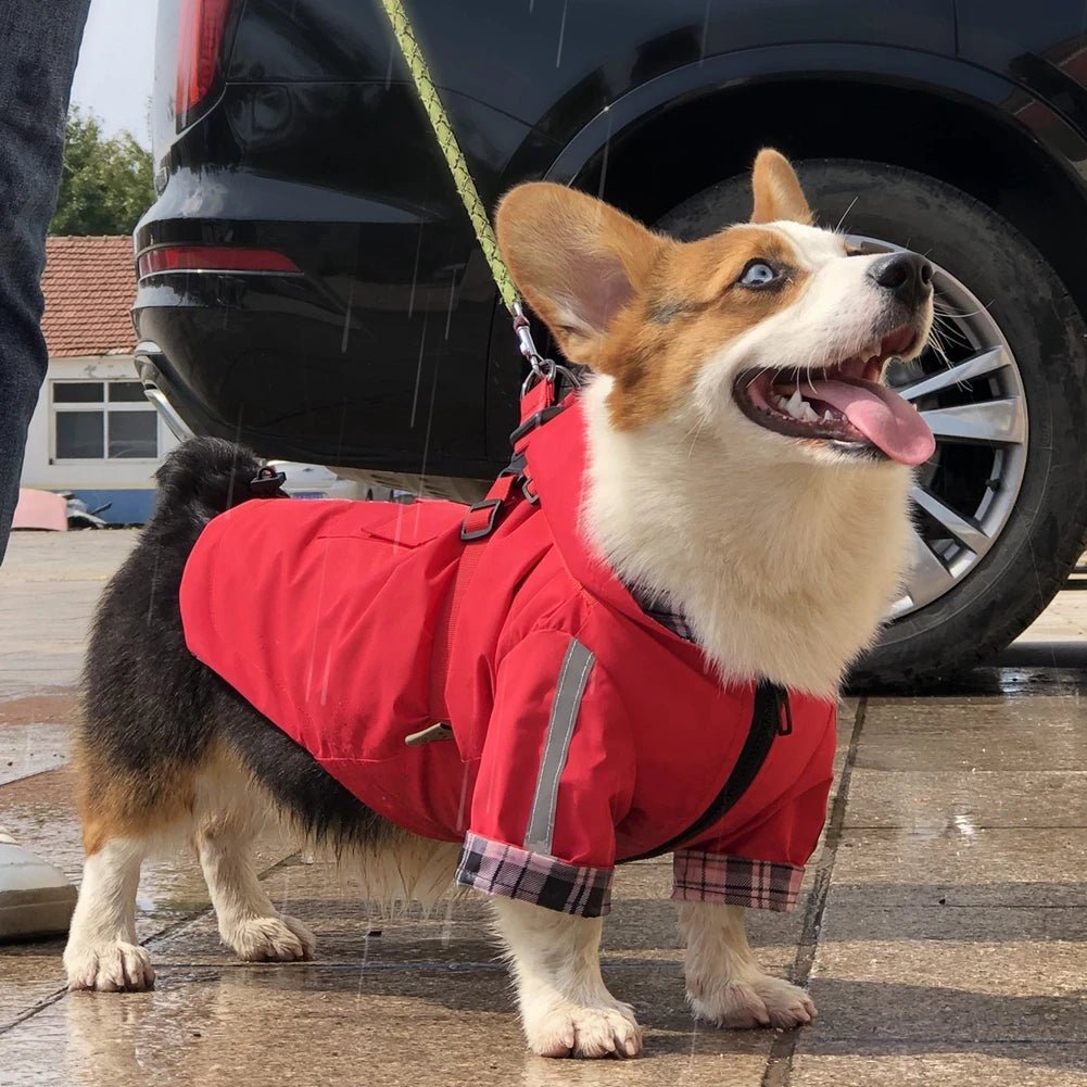 Imperméable pour chien avec capuche et anneau de laisse Oscar et Plume Beige / XS