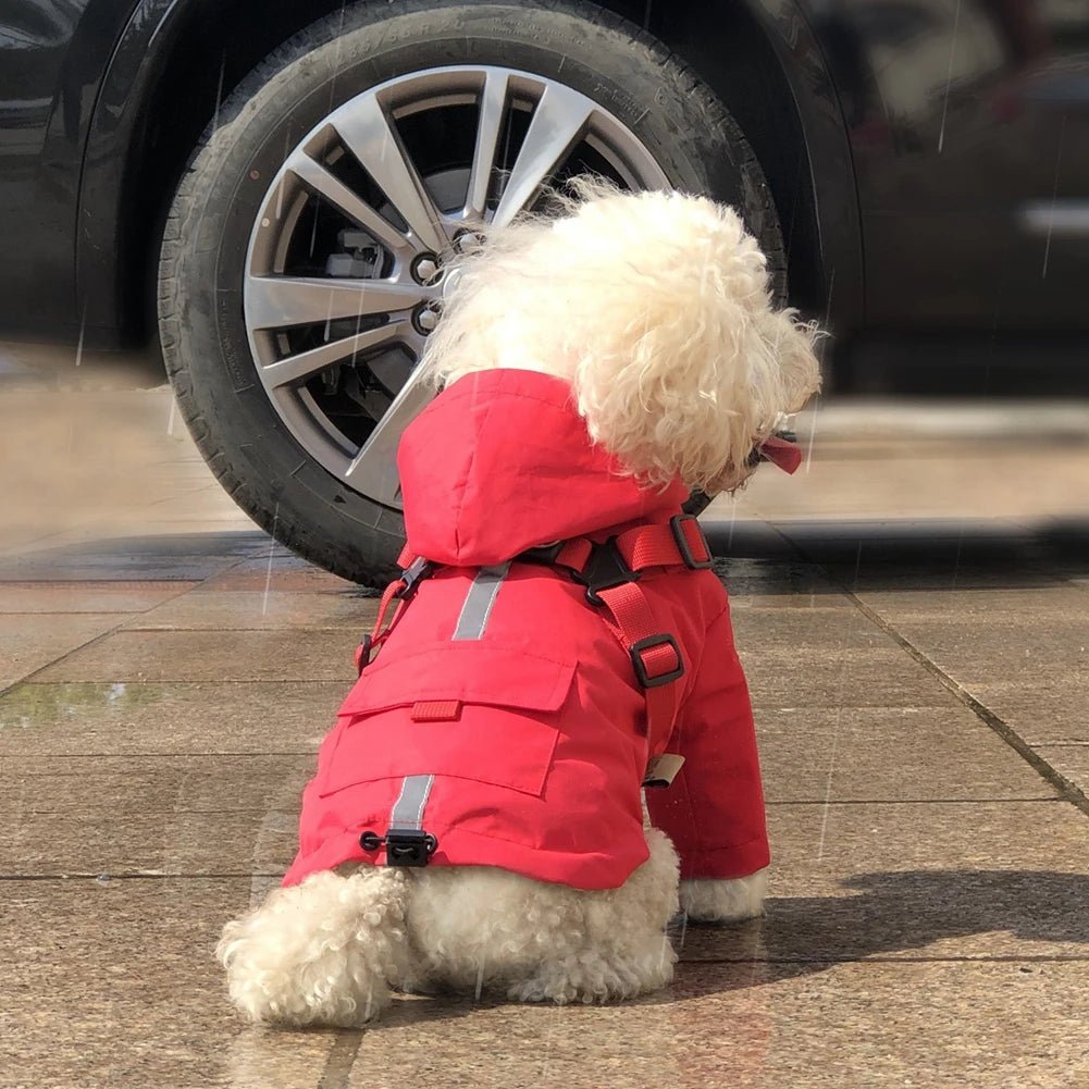 Imperméable pour chien avec capuche et anneau de laisse Oscar et Plume Beige / XS