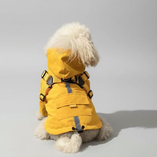 Imperméable pour chien avec capuche en jaune, idéal pour les journées pluvieuses et les promenades en extérieur