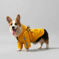 Charger l'image dans la visionneuse de la galerie, Chien heureux portant un imperméable pour chien avec capuche, couleur jaune, sous la pluie

