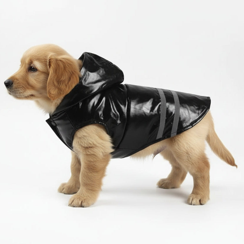 Imperméable pour chien avec capuche en noir avec bandes réfléchissantes pour garder votre chien au sec