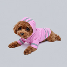 Chien mignon en imperméable pour chien avec capuche rose avec des bandes réfléchissantes