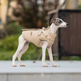 Cargar la imagen en la vista de la galería, Chien portant un imperméable pour chien avec harnais beige de la marque Oscar et Plume
