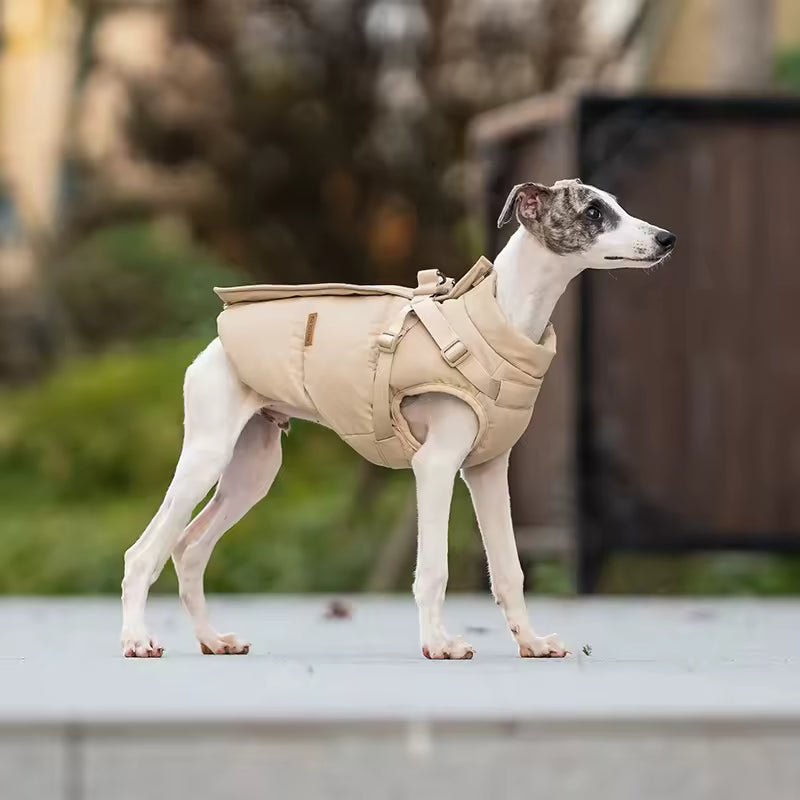 Chien portant un imperméable pour chien avec harnais beige de la marque Oscar et Plume