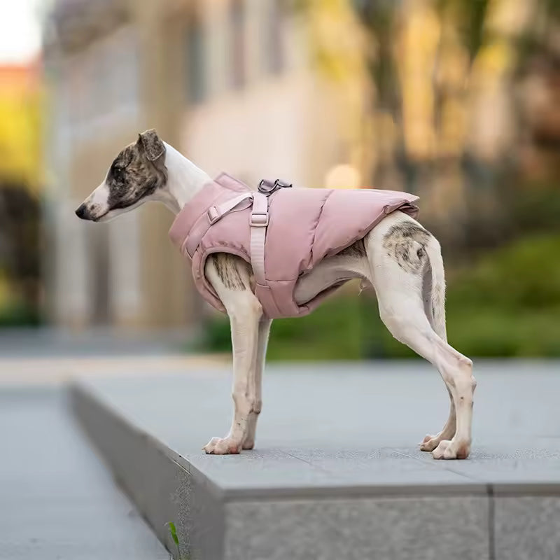 Chien portant un imperméable pour chien avec harnais rose par Oscar et Plume en extérieur urbain