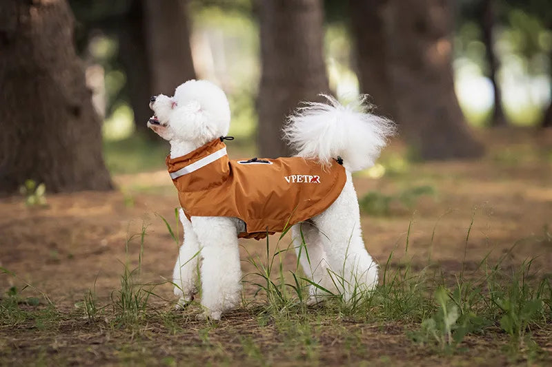 Imperméable pour chien de Oscar et Plume en orange, parfait pour les promenades sous la pluie