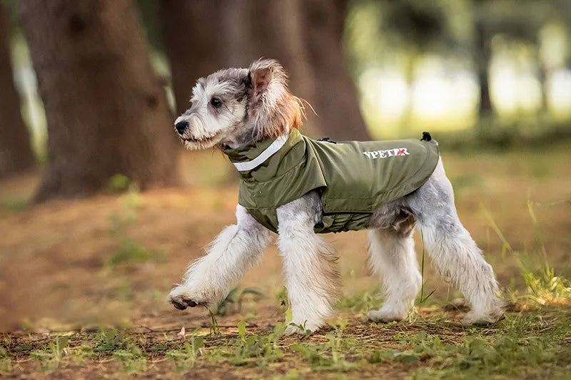 Imperméable pour chien de la marque Oscar et Plume, coupe ajustée et confort optimal pour les promenades sous la pluie