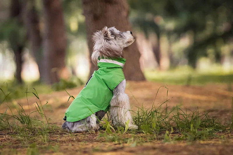 Chien portant un imperméable pour chien vert d'Oscar et Plume dans un parc ensoleillé
