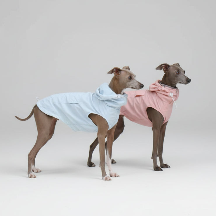 Imperméable pour lévrier et Whippet en bleu et rose, parfait pour les jours de pluie