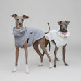 Carica l'immagine nel visualizzatore della galleria, Deux lévriers portant un imperméable pour lévrier et Whippet, en gris et blanc, avec capuches élégantes

