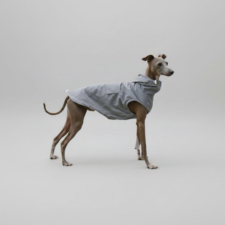Imperméable pour lévrier et Whippet en gris pour protéger votre chien des intempéries
