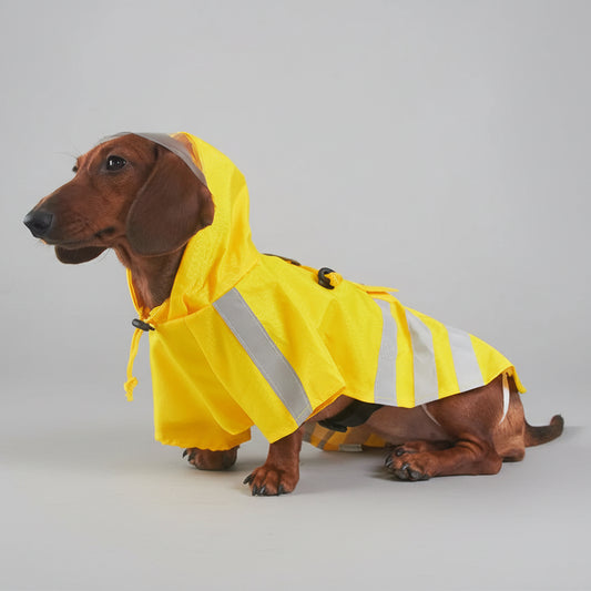Imperméable pour teckel jaune avec bandes réfléchissantes pour les jours de pluie