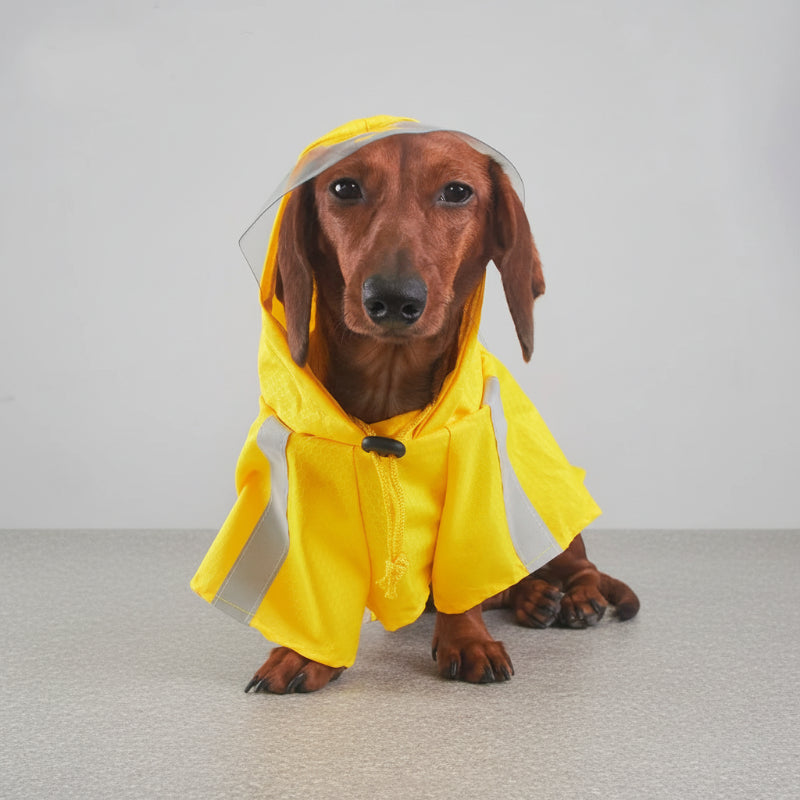 Imperméable pour teckel en jaune avec capuche et bandes réfléchissantes pour chien par Oscar et Plume