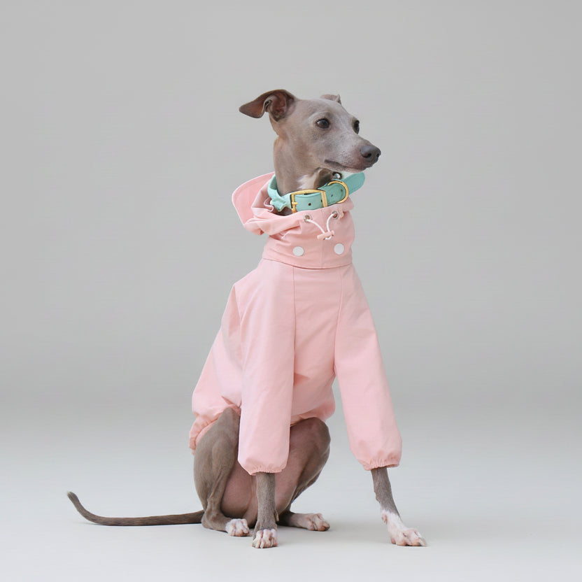 Imperméable pour whippet en rose avec capuche et manches longues pour les jours de pluie