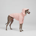 Charger l'image dans la visionneuse de la galerie, Imperméable pour whippet en rose avec capuche pour protéger votre chien de la pluie
