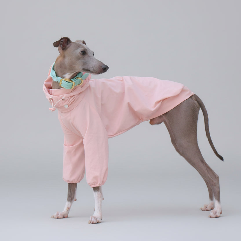 Imperméable pour whippet en rose avec capuche et poches pour chien élégant
