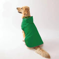 Load image into Gallery viewer, Imperméable réversible pour chien Oscar et Plume Vert / XS
