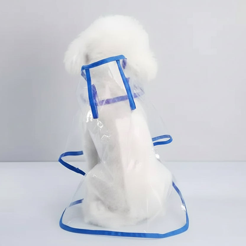 Imperméable transparent pour chien avec bords bleus pour protéger les animaux de la pluie