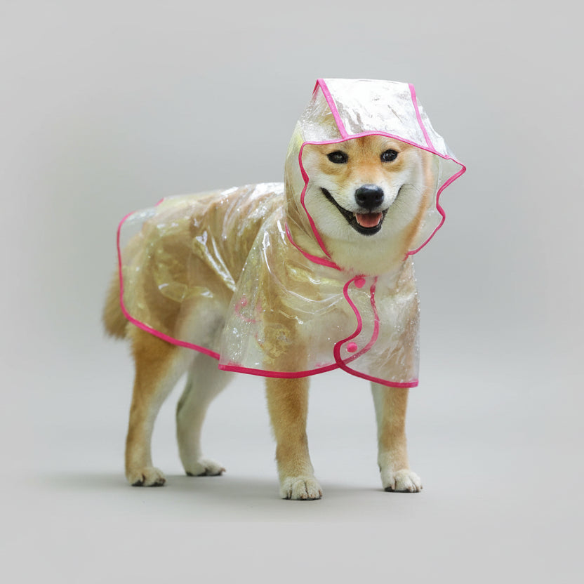 Chien heureux portant un imperméable transparent pour chien avec des bordures roses.
