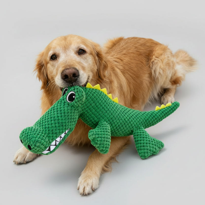 Chien tenant un jouet crocodile pour chien, doux et coloré, idéal pour le jeu et la mastication
