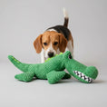 Load image into Gallery viewer, Chien beagle avec un jouet crocodile pour chien en peluche verte
