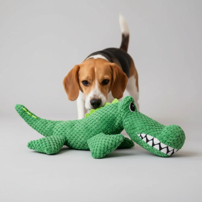 Chien beagle avec un jouet crocodile pour chien en peluche verte