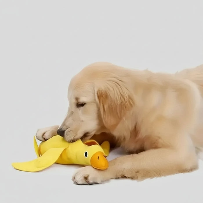 Chien Golden Retriever jouant avec un jouet distributeur de croquettes pour chien en forme de canard