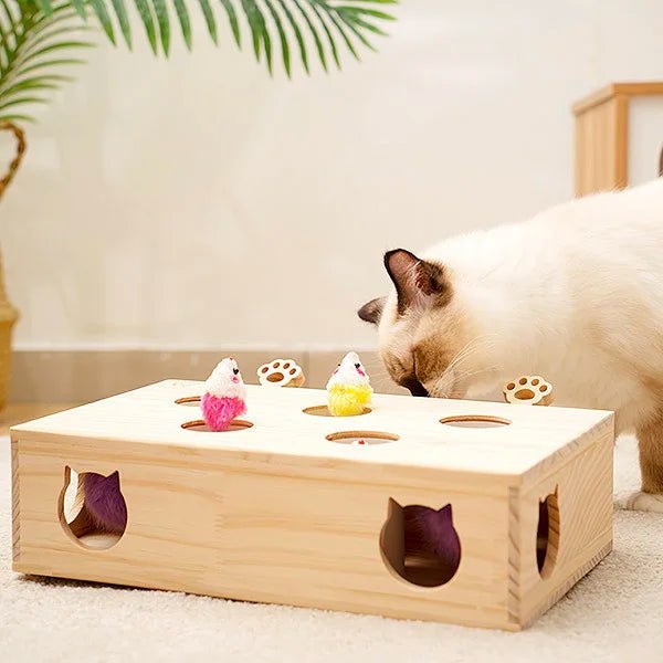 Jouet en bois interactif pour chat - Oscar et Plume