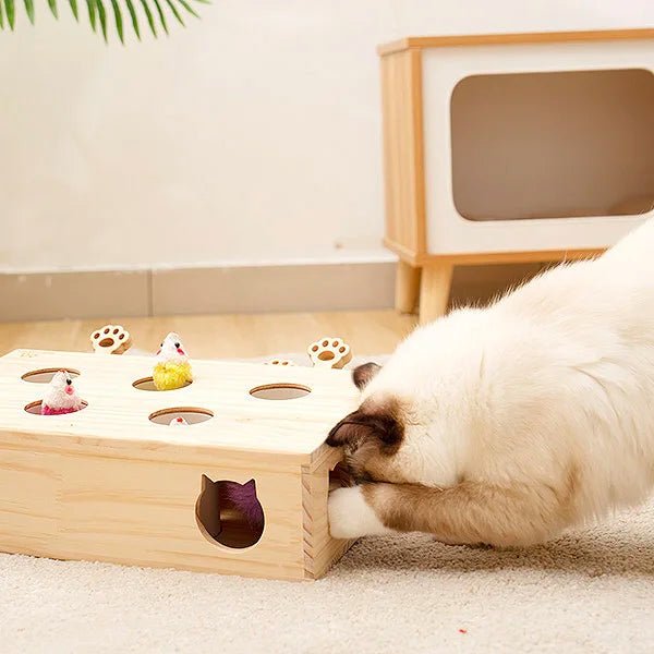 Jouet en bois interactif pour chat - Oscar et Plume