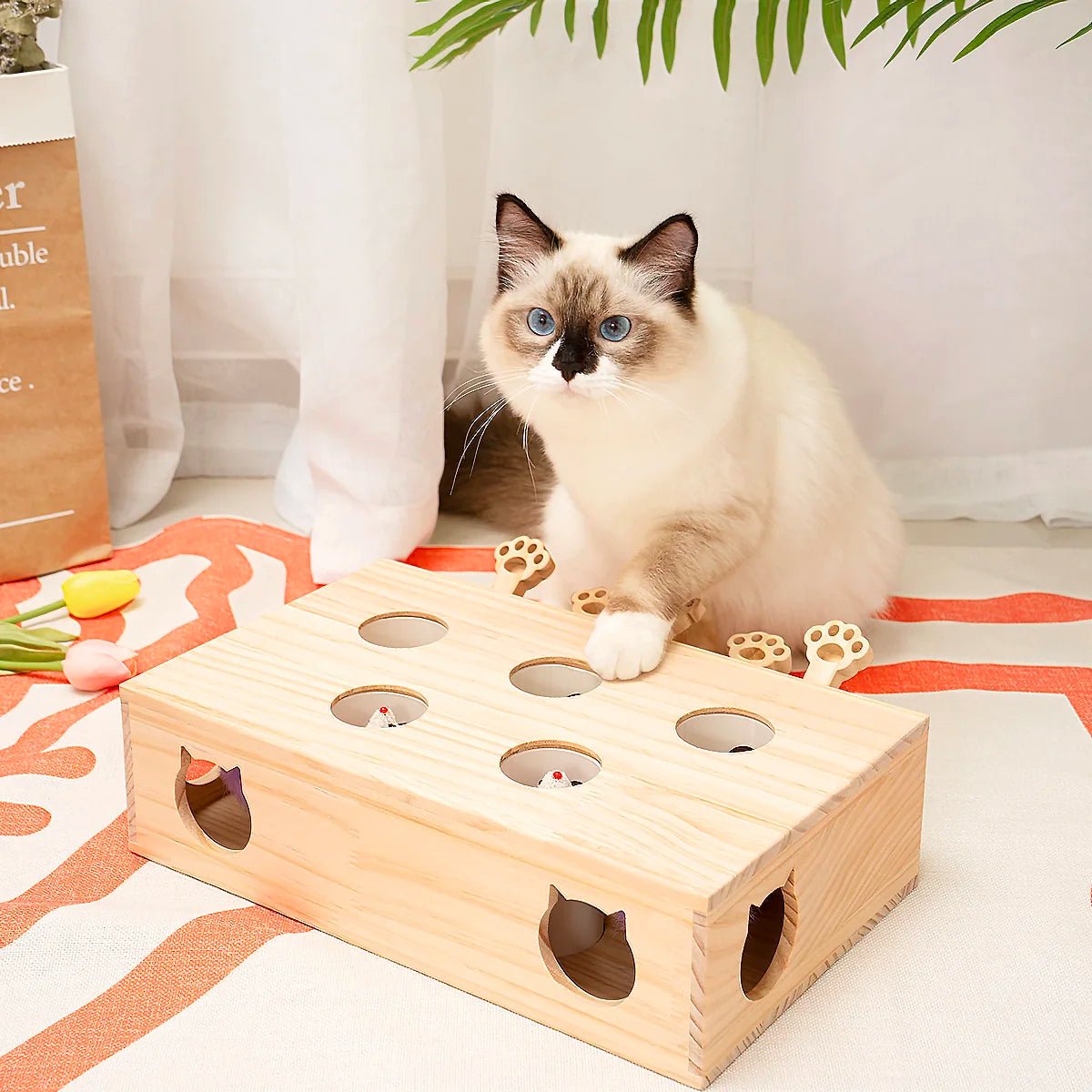 Jouet en bois interactif pour chat - Oscar et Plume