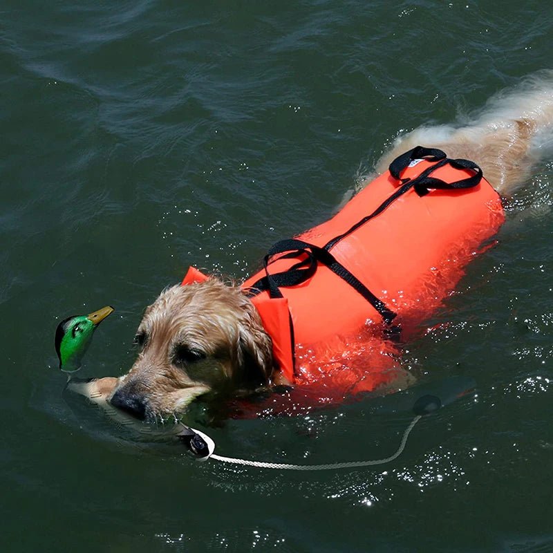 Jouet en forme de canard résistant pour chien Oscar et Plume