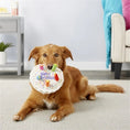 Load image into Gallery viewer, Jouet en peluche anniversaire pour chien Oscar et Plume Os
