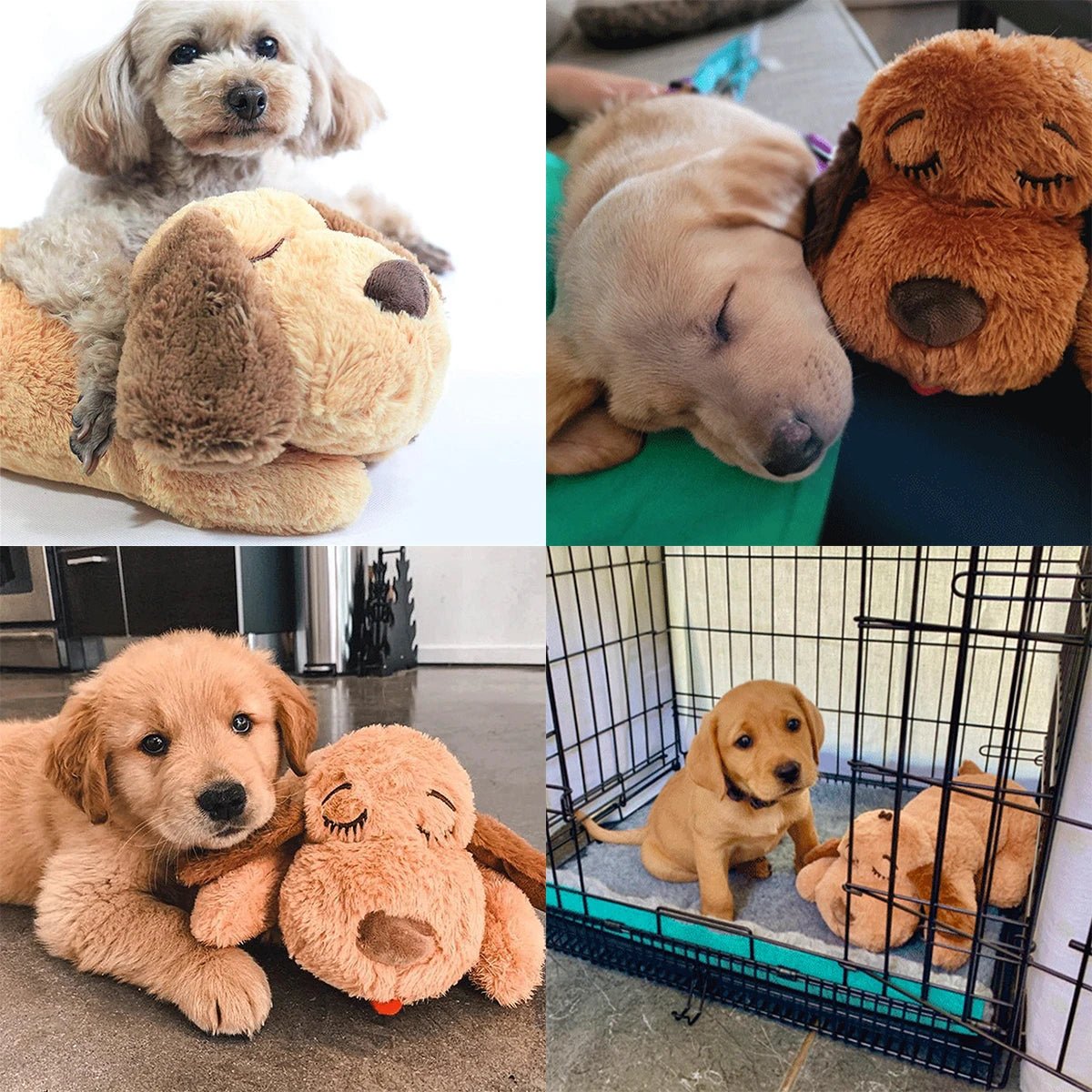 Jouet en peluche avec battement de coeur pour chien Oscar et Plume