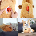 Load image into Gallery viewer, Jouet en peluche avec battement de coeur pour chien Oscar et Plume
