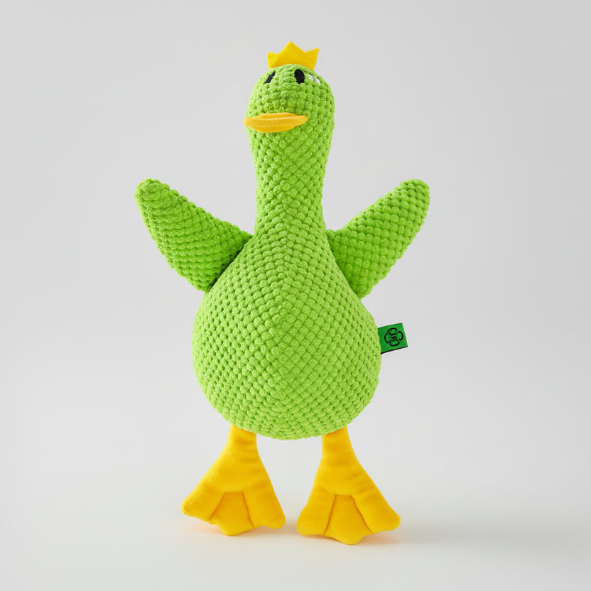 Jouet en peluche pour chien en forme de canard vert avec des bras et des pattes jaunes