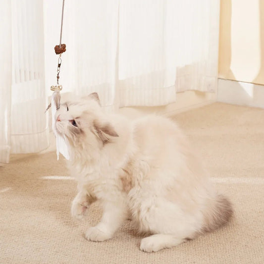 Jouet Interactif pour Chat - Oscar et Plume