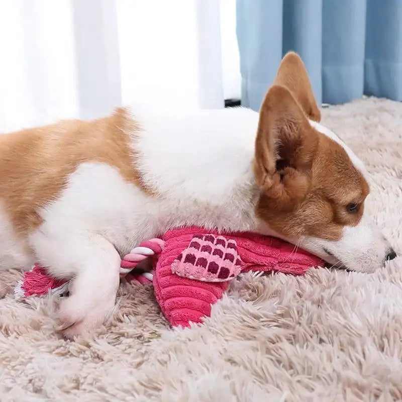 Chien se reposant avec un jouet peluche pour chien rose aux formes amusantes
