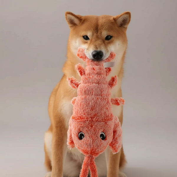 Chien portant un jouet vibrant pour chien et chat en forme de crustacé pour des moments de jeu amusants