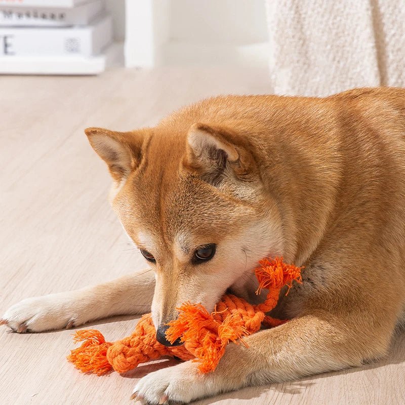 Jouets à mâcher pour petit et moyen chien - Oscar et Plume