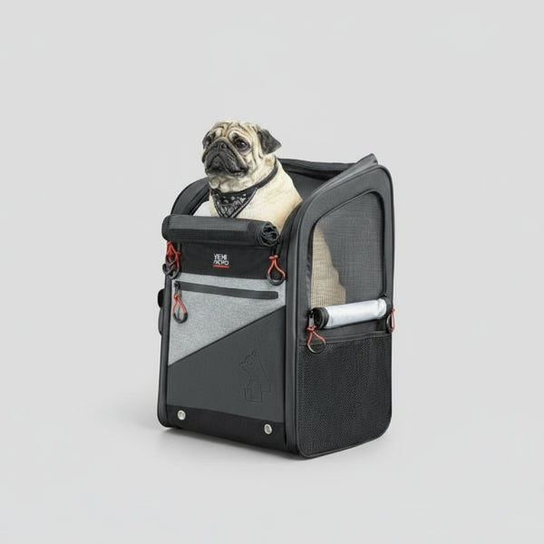 Durable and stylish motorcycle dog bag