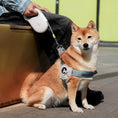 Charger l'image dans la visionneuse de la galerie, Laisse rétractable pour chien avec un Shiba Inu assis et son maître en extérieur
