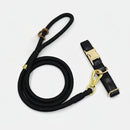 Ensemble collier personnalisable pour chien avec une laisse noire en corde et accessoires dorés