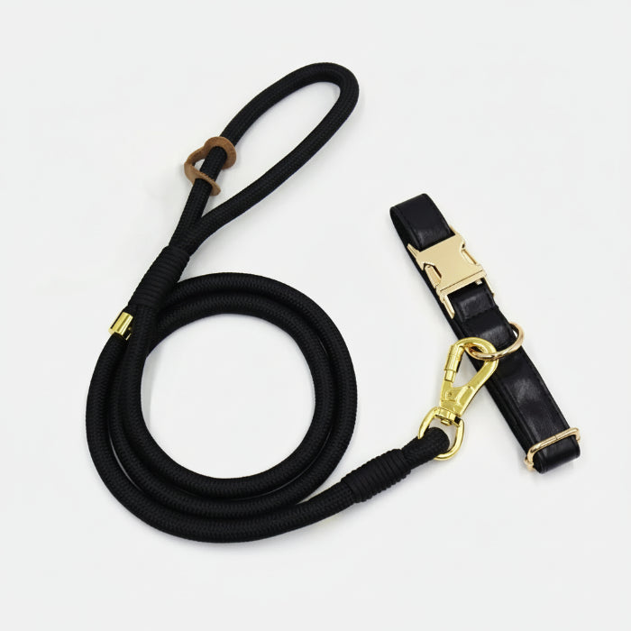 Ensemble collier personnalisable pour chien avec une laisse noire en corde et accessoires dorés