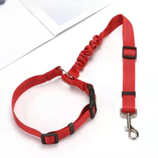 Laisse de ceinture de sécurité pour chien ou chat Oscar et Plume Rouge