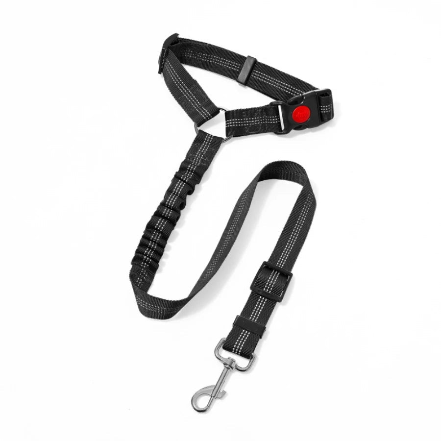 Laisse de ceinture de sécurité pour chien ou chat Oscar et Plume Noir